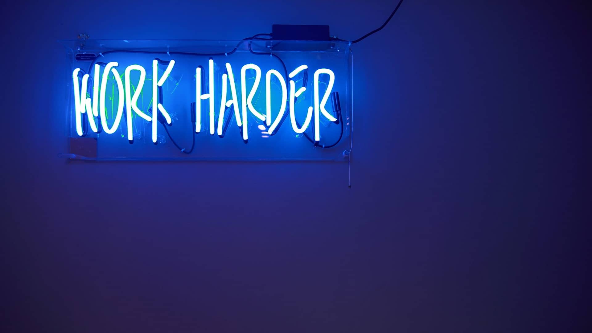 successful people work harder